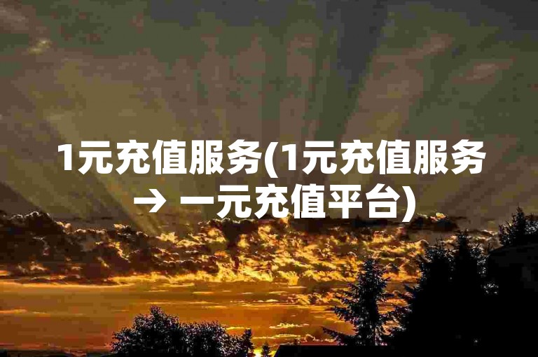 1元充值服务(1元充值服务 → 一元充值平台)