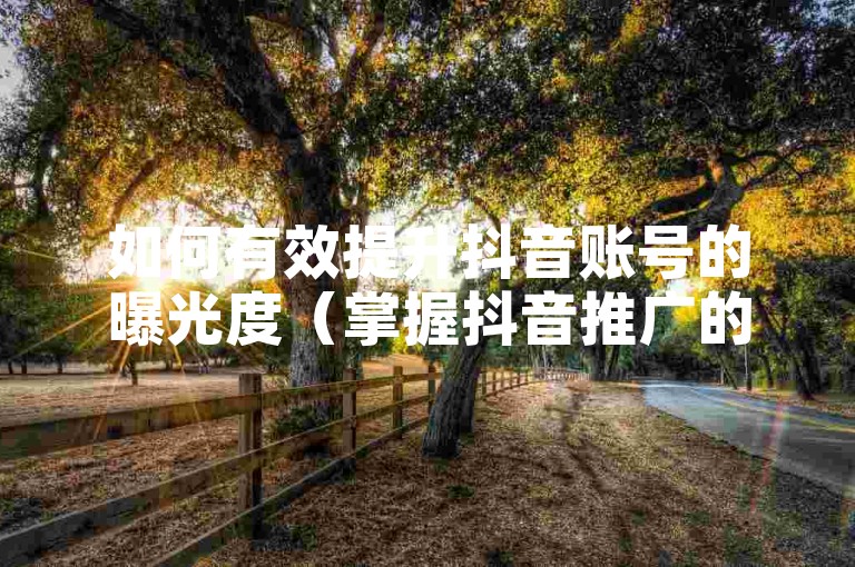 如何有效提升抖音账号的曝光度（掌握抖音推广的关键策略，助你迅速吸引大量关注）