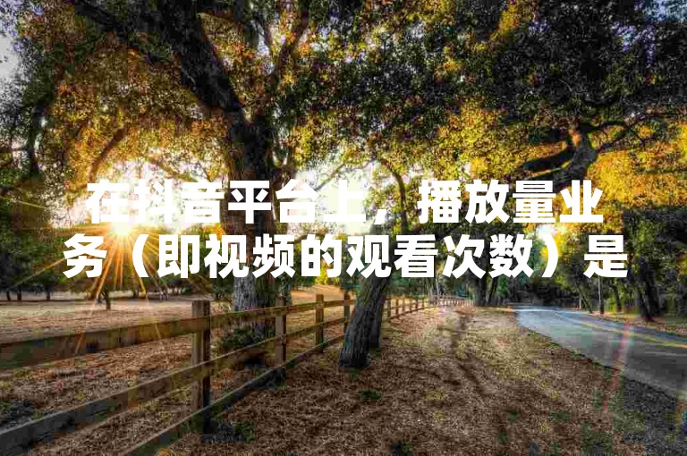 在抖音平台上，播放量业务（即视频的观看次数）是衡量内容受欢迎程度的重要指标之一。
