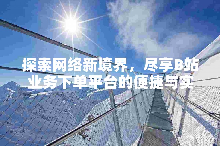 探索网络新境界，尽享B站业务下单平台的便捷与实惠。