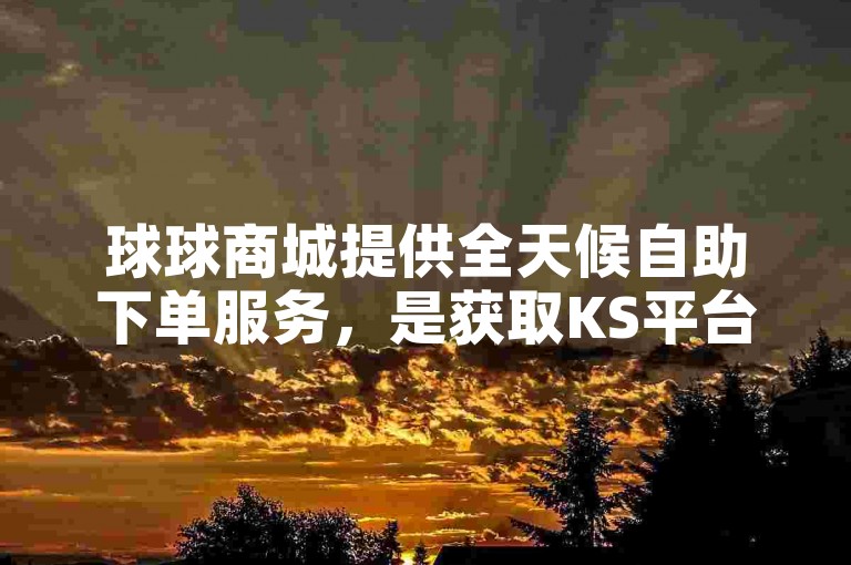 球球商城提供全天候自助下单服务，是获取KS平台低价业务的便捷之选。