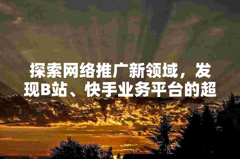 探索网络推广新领域，发现B站、快手业务平台的超值服务，享受全网最优惠的价格。