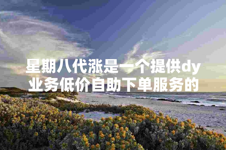 星期八代涨是一个提供dy业务低价自助下单服务的平台。
