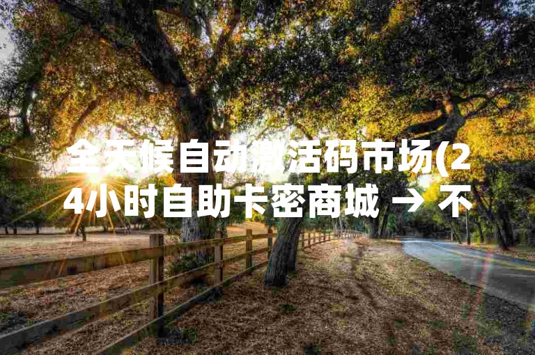 全天候自动激活码市场(24小时自助卡密商城 → 不间断卡密商城)