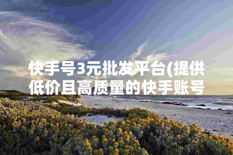 快手号3元批发平台(提供低价且高质量的快手账号)