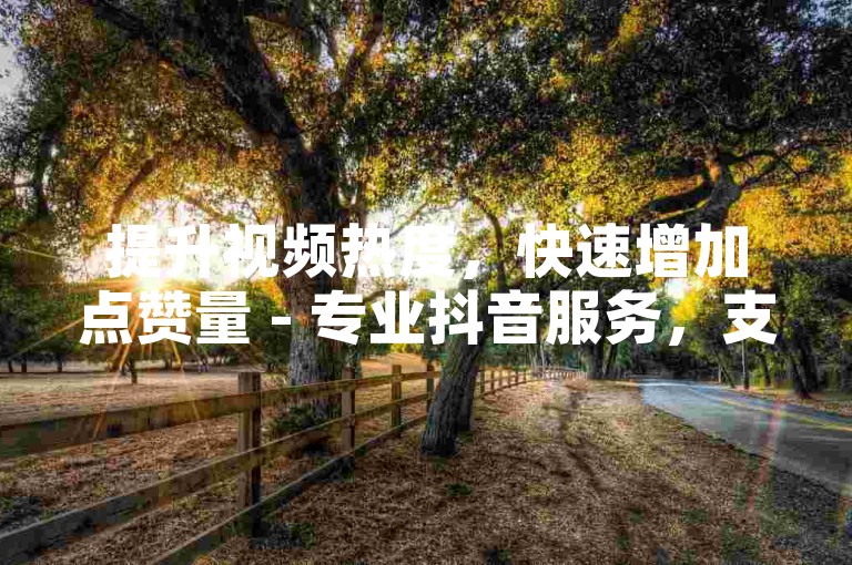 提升视频热度，快速增加点赞量 - 专业抖音服务，支持自定义评论与微信支付。