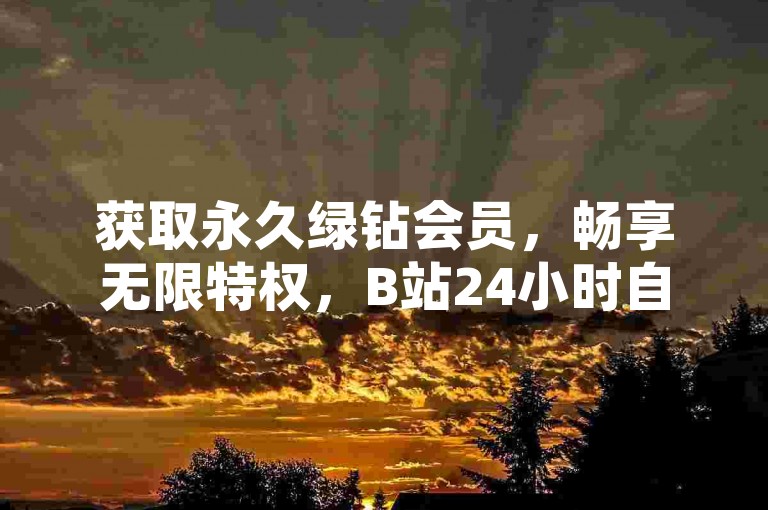 获取永久绿钻会员，畅享无限特权，B站24小时自助下单平台，快速QQ点赞服务。