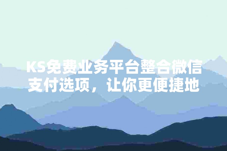 KS免费业务平台整合微信支付选项，让你更便捷地处理网络交易。