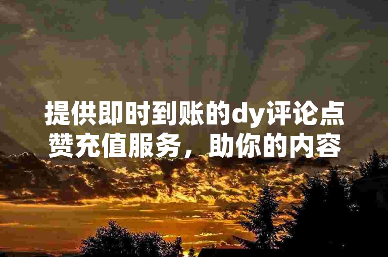 提供即时到账的dy评论点赞充值服务，助你的内容迅速走红，告别低曝光的困扰！