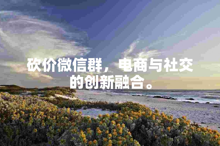 砍价微信群，电商与社交的创新融合。