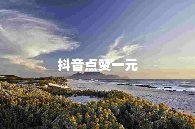 抖音点赞一元500个 - dy赞自助下单平台最实惠
