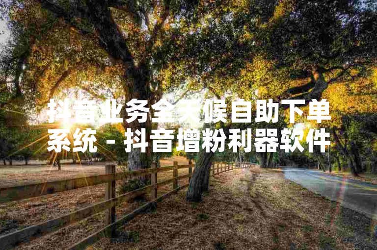 抖音业务全天候自助下单系统 - 抖音增粉利器软件