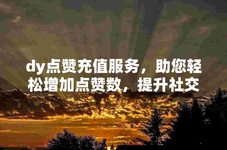 dy点赞充值服务，助您轻松增加点赞数，提升社交影响力。