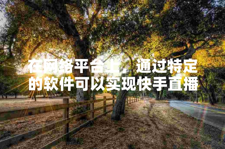 在网络平台上，通过特定的软件可以实现快手直播的仿真人气达到200人，并且以1元的价格获得1000个赞，这些赞可以迅速到账。