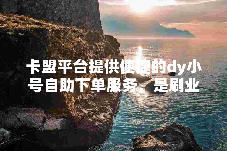 卡盟平台提供便捷的dy小号自助下单服务，是刷业务的首选自助平台。