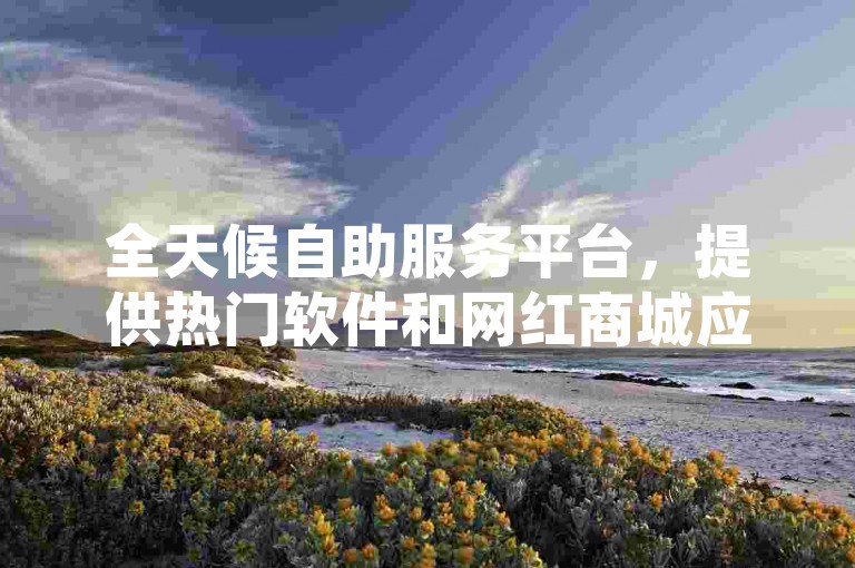 全天候自助服务平台，提供热门软件和网红商城应用下载，包括拼多多助力工具。