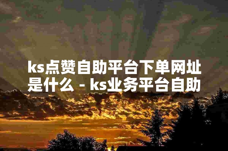 ks点赞自助平台下单网址是什么 - ks业务平台自助下单网站