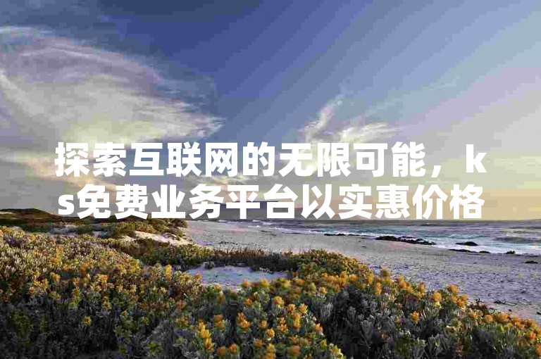 探索互联网的无限可能，ks免费业务平台以实惠价格（超值性价比！）助力您的事业高飞。