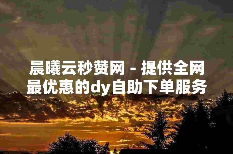 晨曦云秒赞网 - 提供全网最优惠的dy自助下单服务。