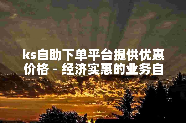 ks自助下单平台提供优惠价格 - 经济实惠的业务自助下单平台ks