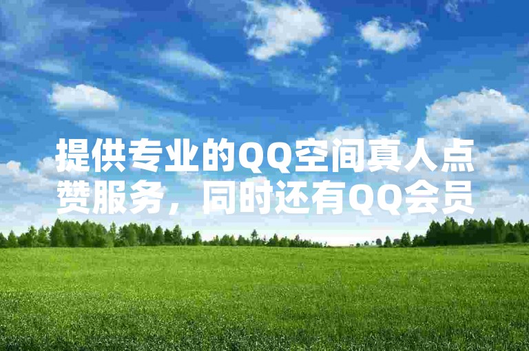 提供专业的QQ空间真人点赞服务，同时还有QQ会员永久业务和各类卡盟服务，以及拼多多低价助力和推广服务。