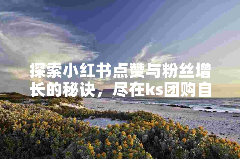 探索小红书点赞与粉丝增长的秘诀，尽在ks团购自助下单平台。
