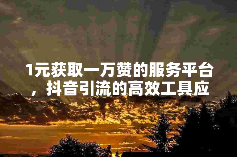 1元获取一万赞的服务平台，抖音引流的高效工具应用。