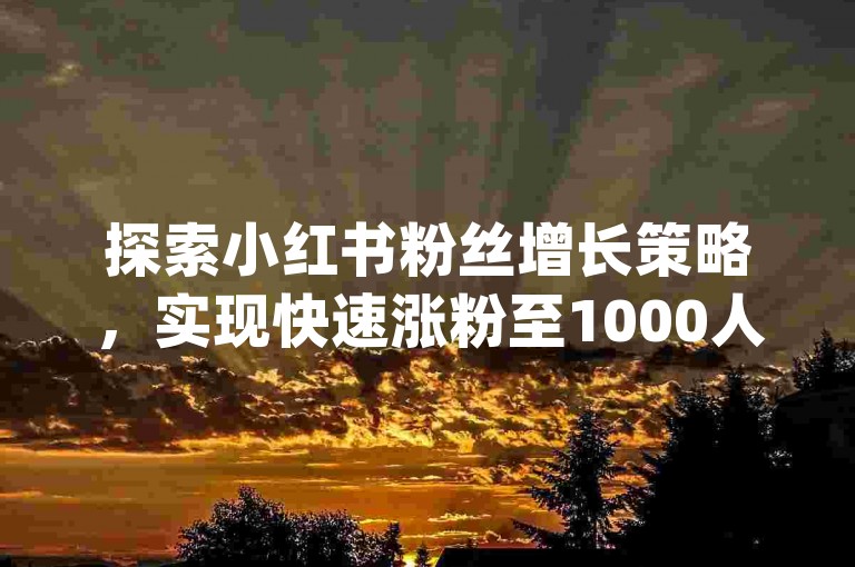 探索小红书粉丝增长策略，实现快速涨粉至1000人 - 发现qq上最实惠的24小时自助下单服务。