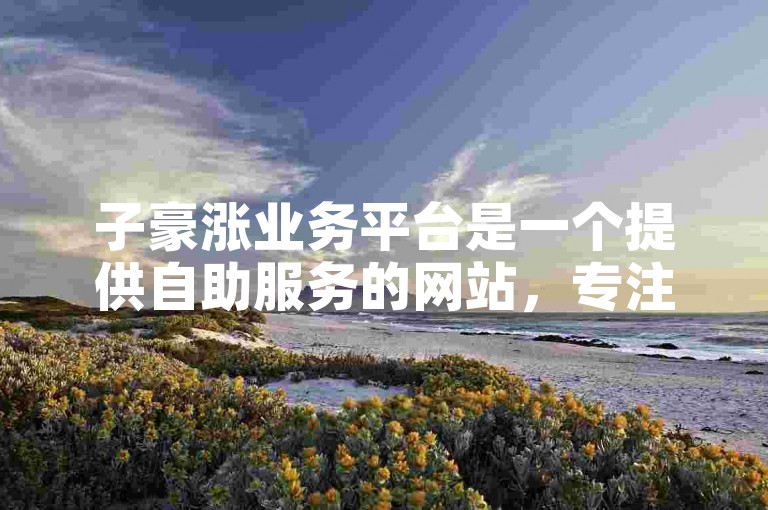 子豪涨业务平台是一个提供自助服务的网站，专注于卡盟业务的在线管理和增长。