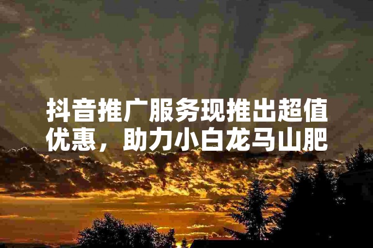 抖音推广服务现推出超值优惠，助力小白龙马山肥项目，特惠房源等你来抢 - 抖音快手营销助手平台。