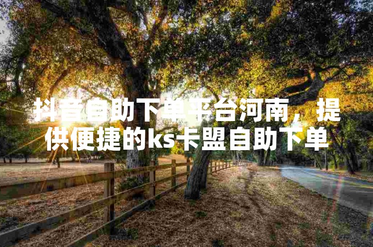 抖音自助下单平台河南，提供便捷的ks卡盟自助下单在线服务。