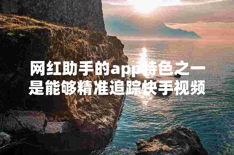 网红助手的app特色之一是能够精准追踪快手视频的播放量。