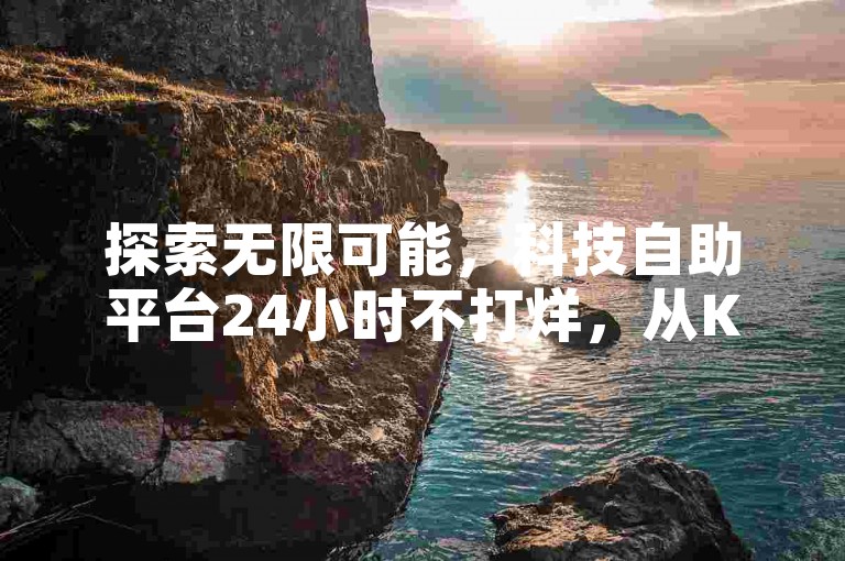 探索无限可能，科技自助平台24小时不打烊，从KS亲密度到网易云会员，再到快手播放量，一站式低价自助服务等你来体验！