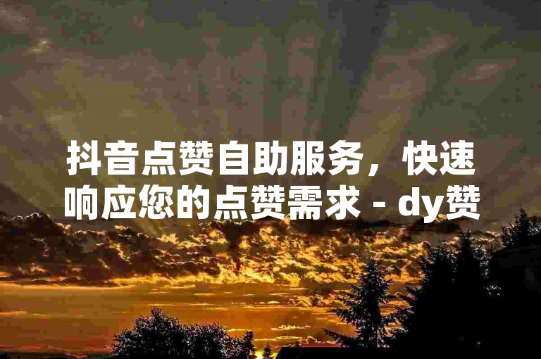 抖音点赞自助服务，快速响应您的点赞需求 - dy赞自助服务平台网