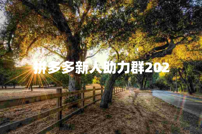 拼多多新人助力群2025多多互助交流论坛