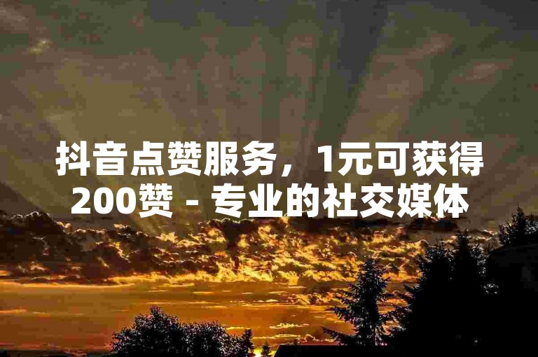 抖音点赞服务，1元可获得200赞 - 专业的社交媒体推广平台 - 抖音短视频创始人。