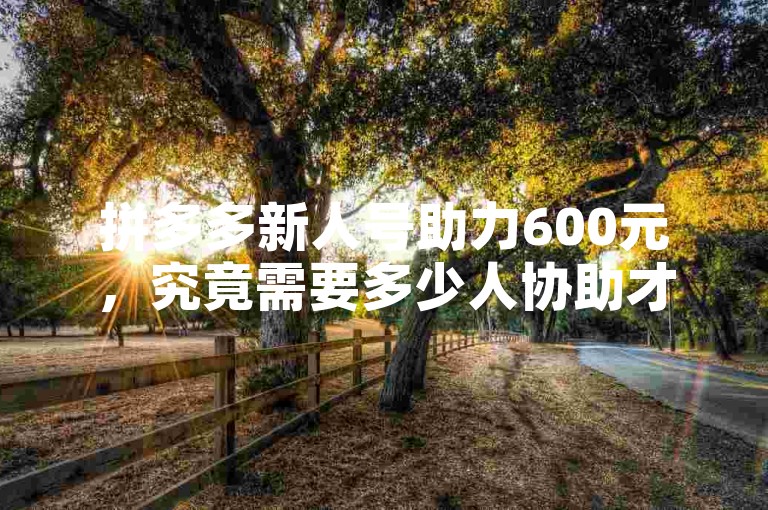 拼多多新人号助力600元，究竟需要多少人协助才能成功抢到呢？