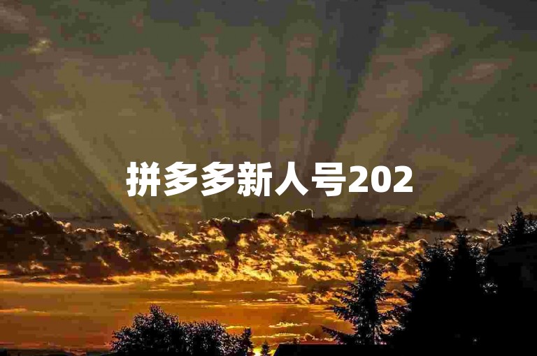 拼多多新人号2025最真实助力群。