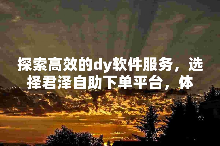 探索高效的dy软件服务，选择君泽自助下单平台，体验便捷的一键操作。