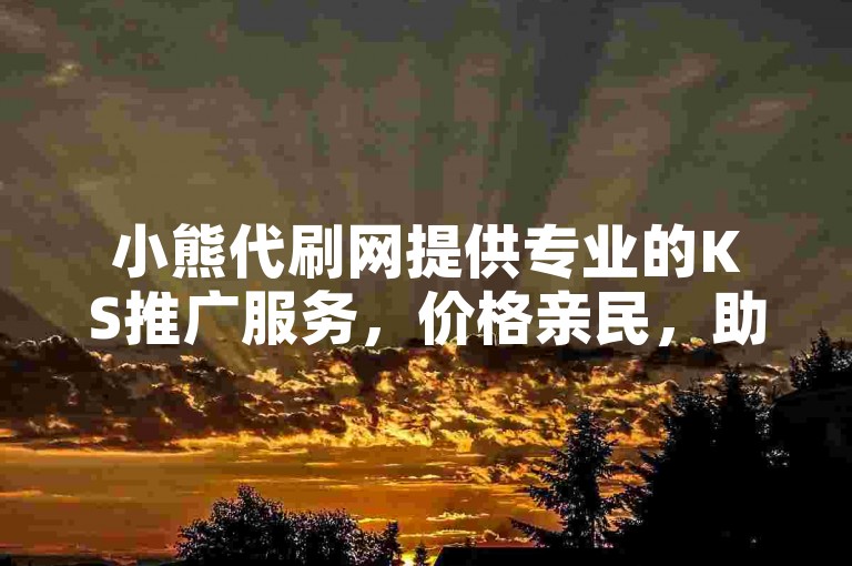 小熊代刷网提供专业的KS推广服务，价格亲民，助力您的业务快速增长。