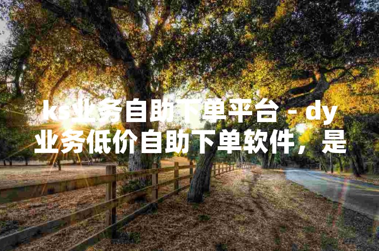 ks业务自助下单平台 - dy业务低价自助下单软件，是一款便捷的在线服务工具。