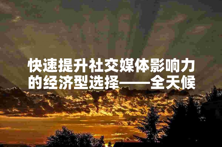 快速提升社交媒体影响力的经济型选择——全天候自助点赞服务平台。