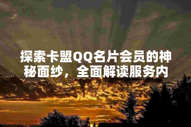 探索卡盟QQ名片会员的神秘面纱，全面解读服务内容及高效运用策略，为2025年的你量身打造！