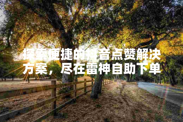 探索便捷的抖音点赞解决方案，尽在雷神自助下单平台。