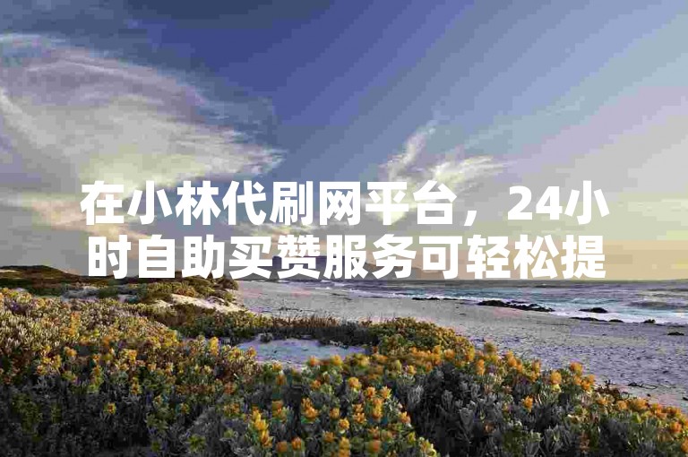 在小林代刷网平台，24小时自助买赞服务可轻松提升网易云播放量。