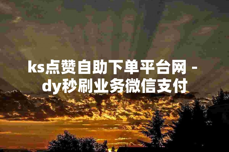 ks点赞自助下单平台网 - dy秒刷业务微信支付