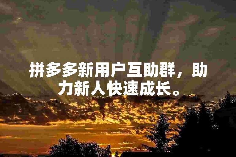 拼多多新用户互助群，助力新人快速成长。
