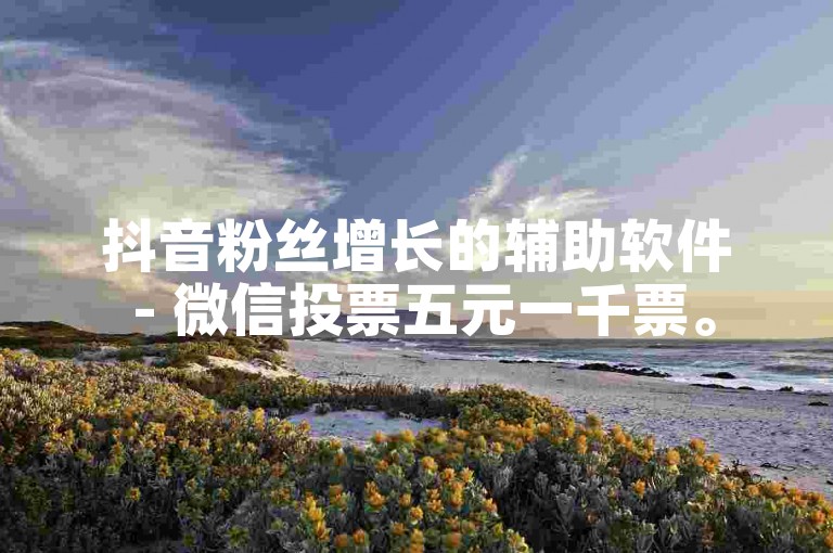 抖音粉丝增长的辅助软件 - 微信投票五元一千票。
