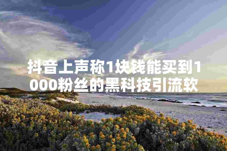 抖音上声称1块钱能买到1000粉丝的黑科技引流软件，真的靠谱吗？抖音粉丝究竟从哪些渠道获取才安全可靠？还有，QQ空间的浏览量又该如何有效提升呢？