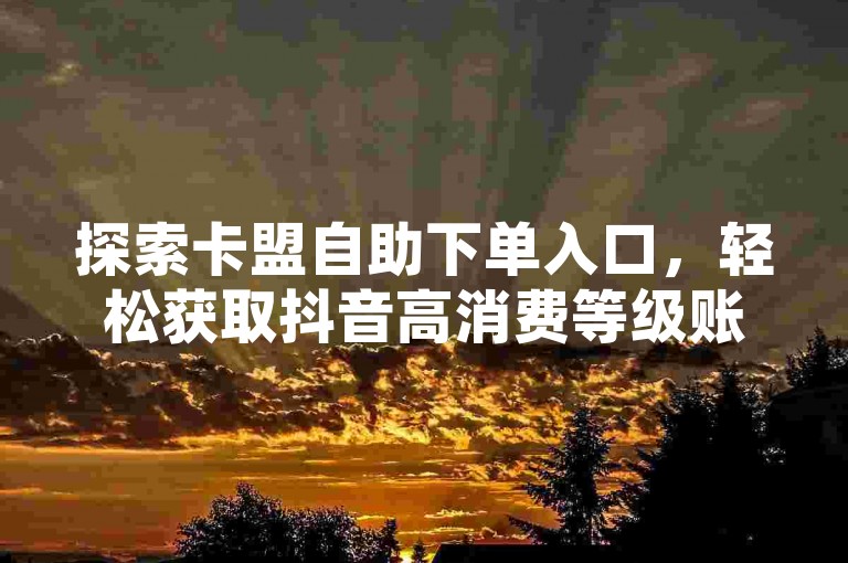 探索卡盟自助下单入口，轻松获取抖音高消费等级账号。